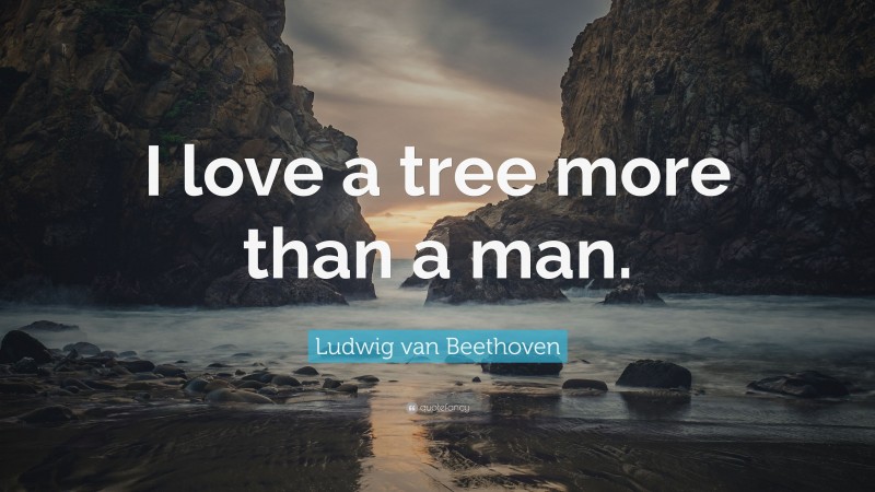 Ludwig van Beethoven Quote: “I love a tree more than a man.”