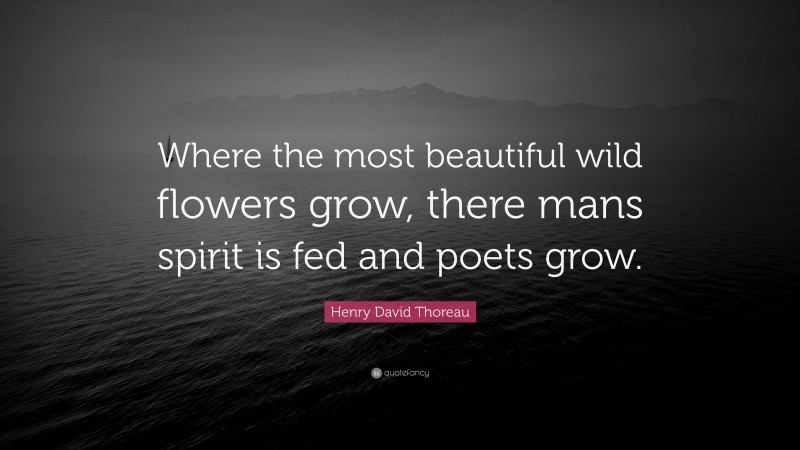 Henry David Thoreau Quote: “Where the most beautiful wild flowers grow, there mans spirit is fed and poets grow.”
