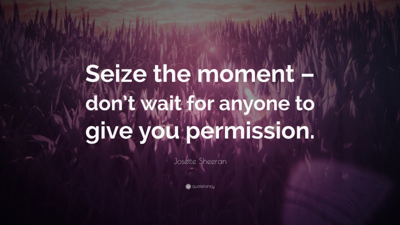 Josette Sheeran Quote: “Seize the moment – don’t wait for anyone to give you permission.”