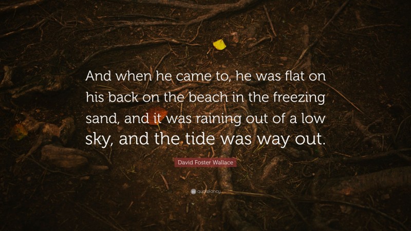 David Foster Wallace Quote: “And when he came to, he was flat on his back on the beach in the freezing sand, and it was raining out of a low sky, and the tide was way out.”