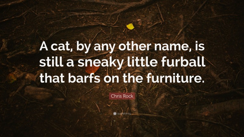 Chris Rock Quote: “A cat, by any other name, is still a sneaky little furball that barfs on the furniture.”