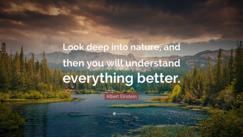 Albert Einstein Quote: “Look deep into nature, and then you will ...