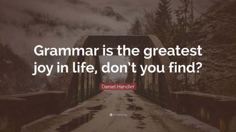 Daniel Handler Quote: “Grammar is the greatest joy in life, don’t you find?”
