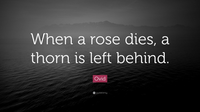 Ovid Quote: “When a rose dies, a thorn is left behind.”