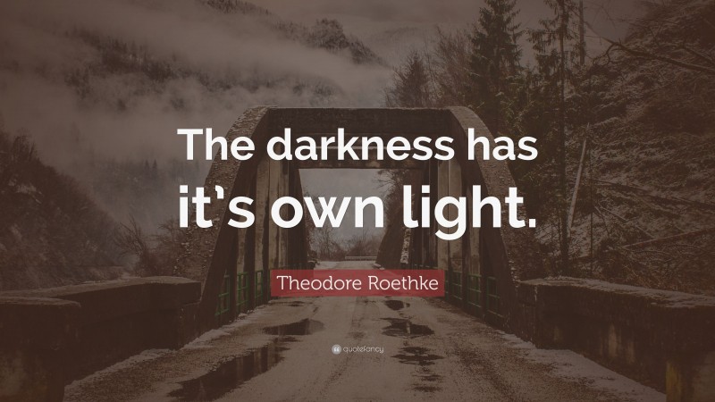 Theodore Roethke Quote: “The darkness has it’s own light.”