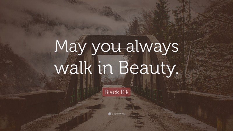 Black Elk Quote: “May you always walk in Beauty.”