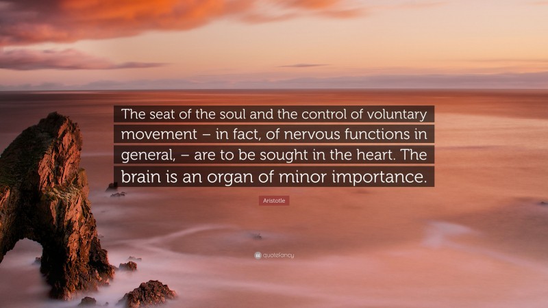 Aristotle Quote: “The seat of the soul and the control of voluntary movement – in fact, of nervous functions in general, – are to be sought in the heart. The brain is an organ of minor importance.”