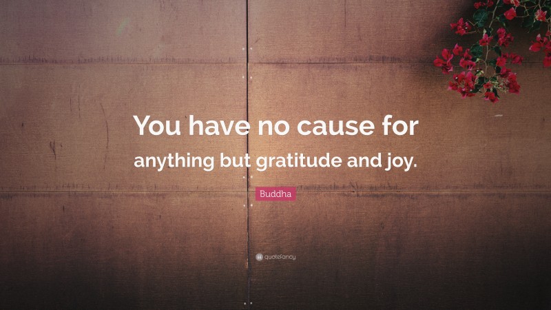 Buddha Quote: “You have no cause for anything but gratitude and joy.”