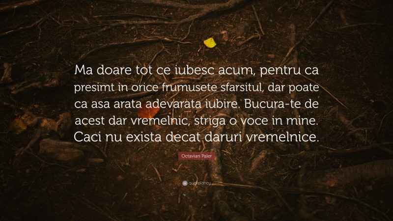 Octavian Paler Quote: “Ma doare tot ce iubesc acum, pentru ca presimt in orice frumusete sfarsitul, dar poate ca asa arata adevarata iubire. Bucura-te de acest dar vremelnic, striga o voce in mine. Caci nu exista decat daruri vremelnice.”