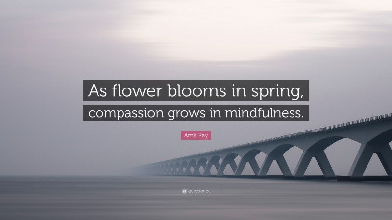 Amit Ray Quote: “As flower blooms in spring, compassion grows in mindfulness.”