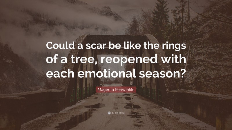Magenta Periwinkle Quote: “Could a scar be like the rings of a tree, reopened with each emotional season?”