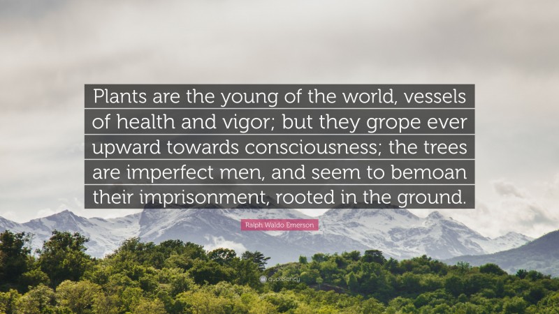 Ralph Waldo Emerson Quote: “Plants are the young of the world, vessels of health and vigor; but they grope ever upward towards consciousness; the trees are imperfect men, and seem to bemoan their imprisonment, rooted in the ground.”