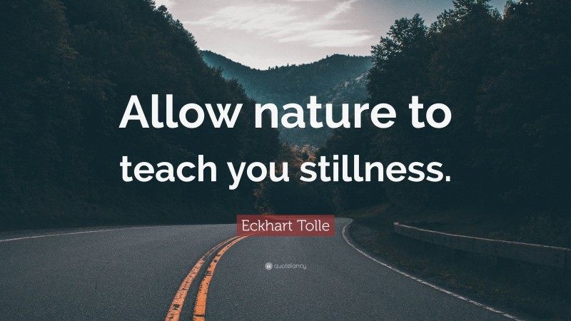Eckhart Tolle Quote: “Allow nature to teach you stillness.”