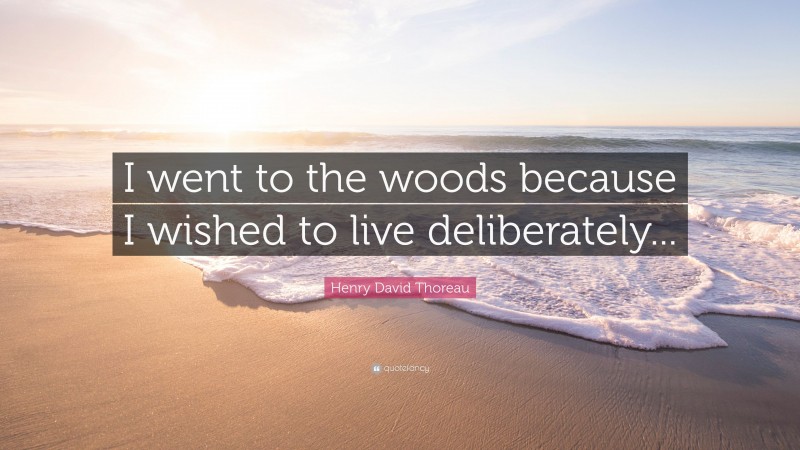 Henry David Thoreau Quote: “I went to the woods because I wished to live deliberately...”