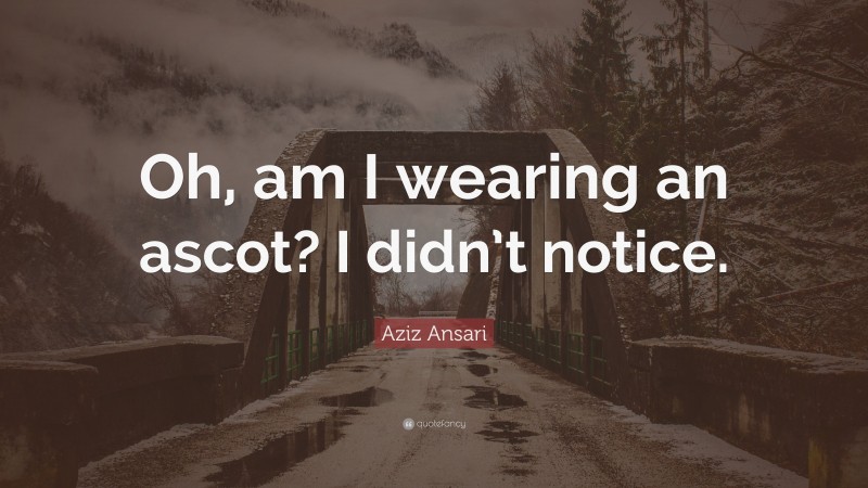 Aziz Ansari Quote: “Oh, am I wearing an ascot? I didn’t notice.”