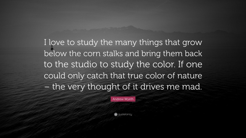 Andrew Wyeth Quote: “I love to study the many things that grow below the corn stalks and bring them back to the studio to study the color. If one could only catch that true color of nature – the very thought of it drives me mad.”