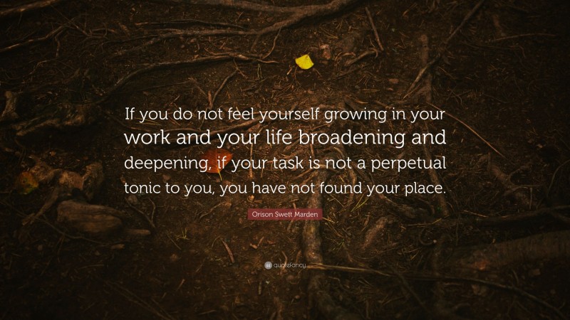 Orison Swett Marden Quote: “If you do not feel yourself growing in your work and your life broadening and deepening, if your task is not a perpetual tonic to you, you have not found your place.”