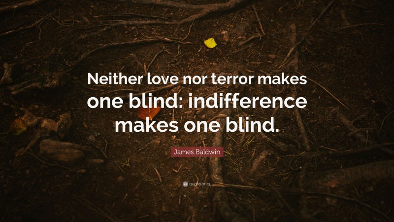 James Baldwin Quote: “Neither love nor terror makes one blind: indifference makes one blind.”