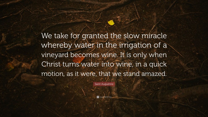 Saint Augustine Quote: “We take for granted the slow miracle whereby water in the irrigation of a vineyard becomes wine. It is only when Christ turns water into wine, in a quick motion, as it were, that we stand amazed.”