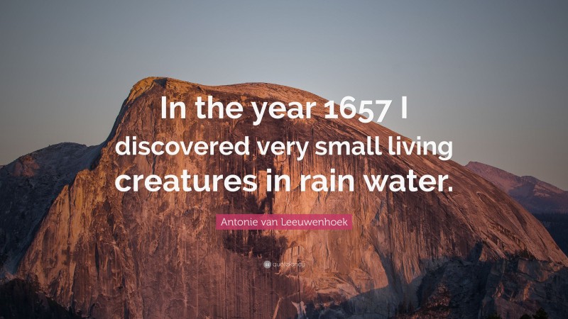 Antonie van Leeuwenhoek Quote: “In the year 1657 I discovered very small living creatures in rain water.”