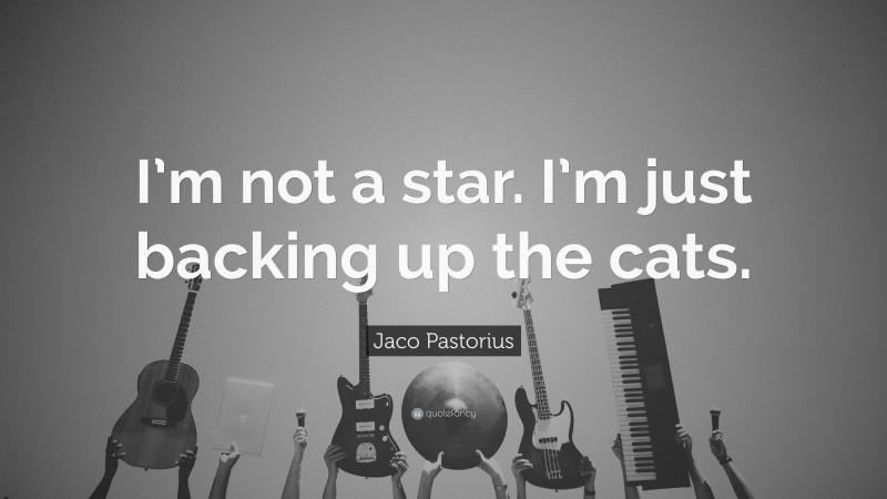 Jaco Pastorius Quote: “I’m not a star. I’m just backing up the cats.”