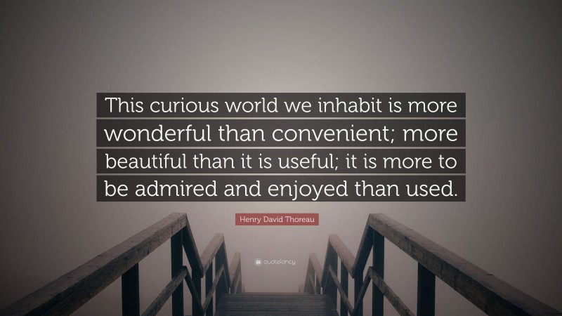 Henry David Thoreau Quote: “This curious world we inhabit is more wonderful than convenient; more beautiful than it is useful; it is more to be admired and enjoyed than used.”