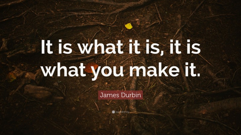James Durbin Quote: “It is what it is, it is what you make it.”
