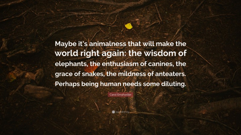 Carol Emshwiller Quote: “Maybe it’s animalness that will make the world right again: the wisdom of elephants, the enthusiasm of canines, the grace of snakes, the mildness of anteaters. Perhaps being human needs some diluting.”
