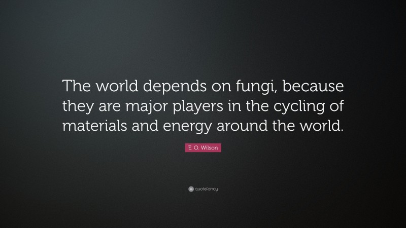 E. O. Wilson Quote: “The world depends on fungi, because they are major players in the cycling of materials and energy around the world.”
