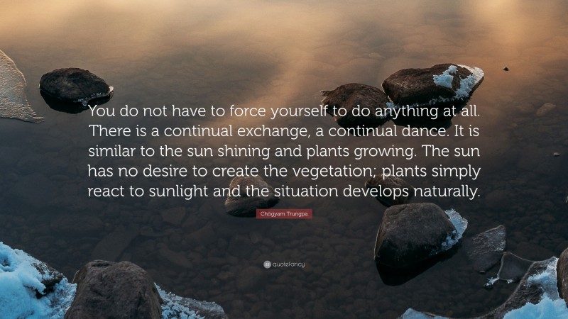 Chögyam Trungpa Quote: “You do not have to force yourself to do anything at all. There is a continual exchange, a continual dance. It is similar to the sun shining and plants growing. The sun has no desire to create the vegetation; plants simply react to sunlight and the situation develops naturally.”