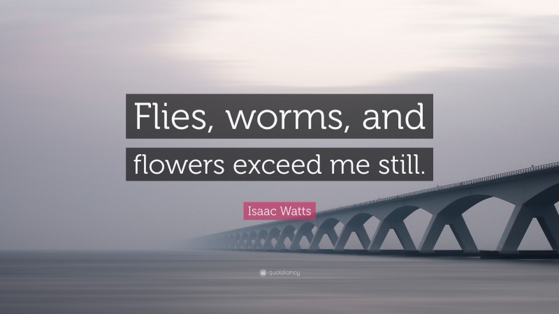 Isaac Watts Quote: “Flies, worms, and flowers exceed me still.”