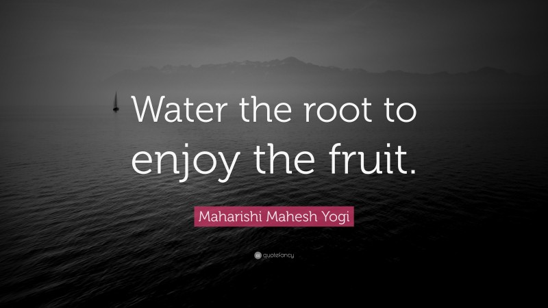 Maharishi Mahesh Yogi Quote: “Water the root to enjoy the fruit.”
