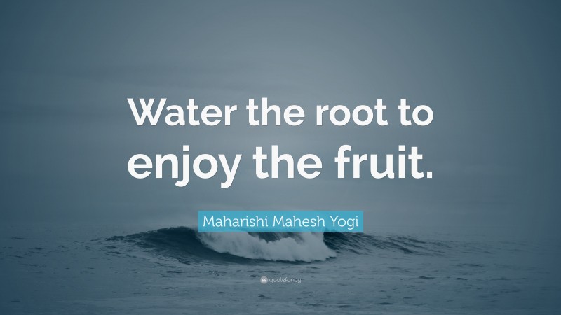 Maharishi Mahesh Yogi Quote: “Water the root to enjoy the fruit.”