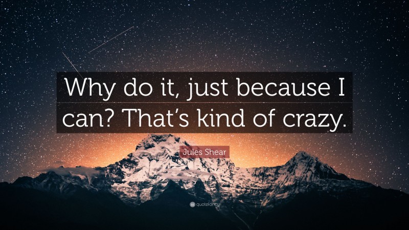 Jules Shear Quote: “Why do it, just because I can? That’s kind of crazy.”
