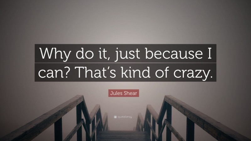 Jules Shear Quote: “Why do it, just because I can? That’s kind of crazy.”