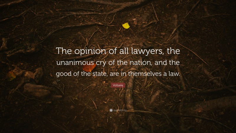 Voltaire Quote: “The opinion of all lawyers, the unanimous cry of the nation, and the good of the state, are in themselves a law.”