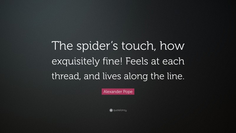 Alexander Pope Quote: “The spider’s touch, how exquisitely fine! Feels at each thread, and lives along the line.”