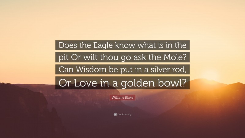 William Blake Quote: “Does the Eagle know what is in the pit Or wilt thou go ask the Mole? Can Wisdom be put in a silver rod, Or Love in a golden bowl?”