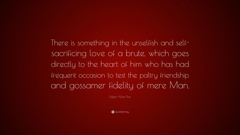 Edgar Allan Poe Quote: “There is something in the unselfish and self-sacrificing love of a brute, which goes directly to the heart of him who has had frequent occasion to test the paltry friendship and gossamer fidelity of mere Man.”