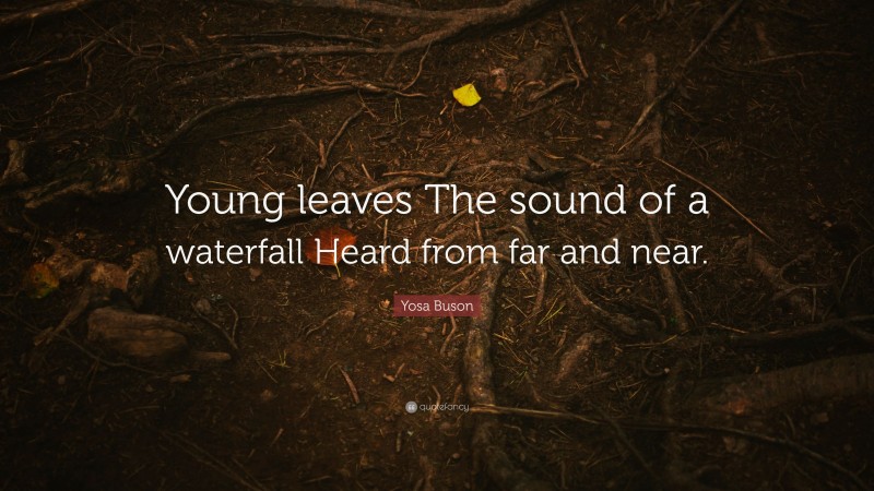 Yosa Buson Quote: “Young leaves The sound of a waterfall Heard from far and near.”