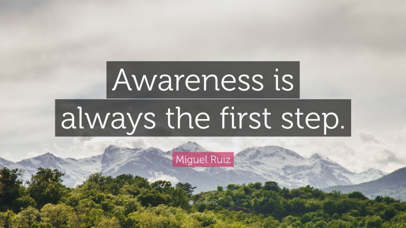 Miguel Ruiz Quote: “Awareness is always the first step.”