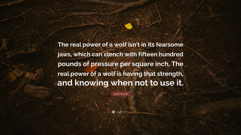 Jodi Picoult Quote: “The real power of a wolf isn’t in its fearsome jaws, which can clench with fifteen hundred pounds of pressure per square inch. The real power of a wolf is having that strength, and knowing when not to use it.”