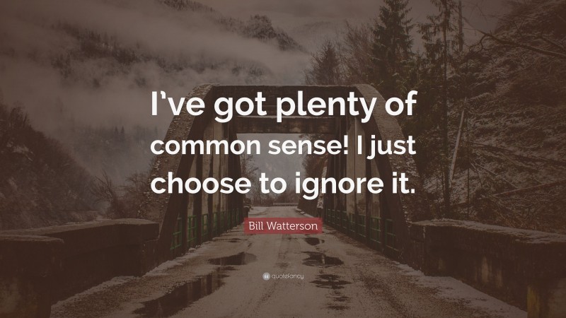 Bill Watterson Quote: “I’ve got plenty of common sense! I just choose to ignore it.”