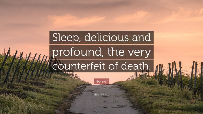 Homer Quote: “Sleep, delicious and profound, the very counterfeit of death.”