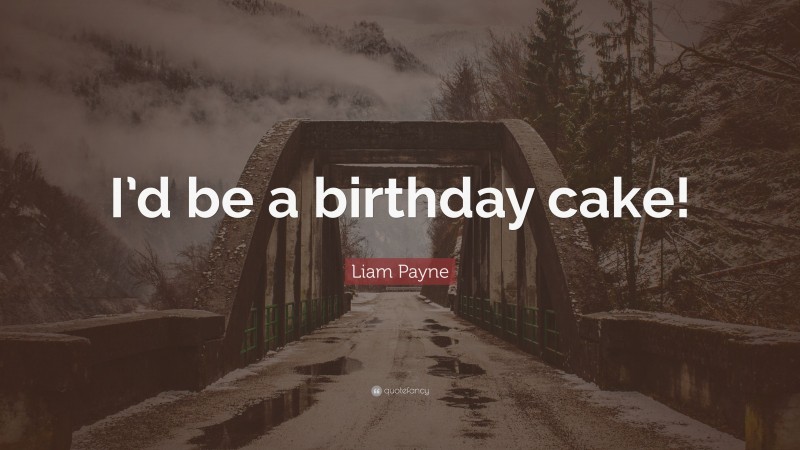 Liam Payne Quote: “I’d be a birthday cake!”