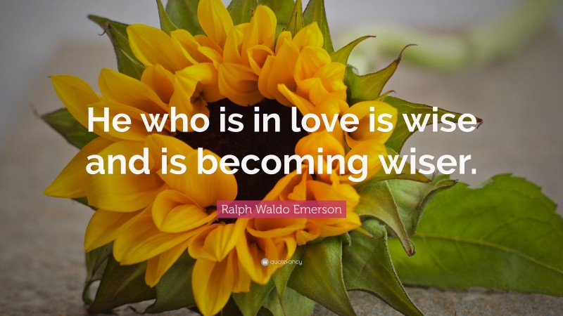 Ralph Waldo Emerson Quote: “He who is in love is wise and is becoming wiser.”