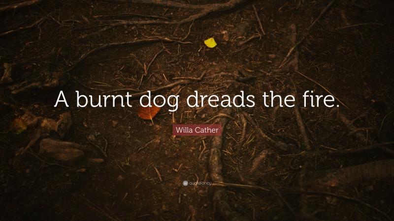 Willa Cather Quote: “A burnt dog dreads the fire.”
