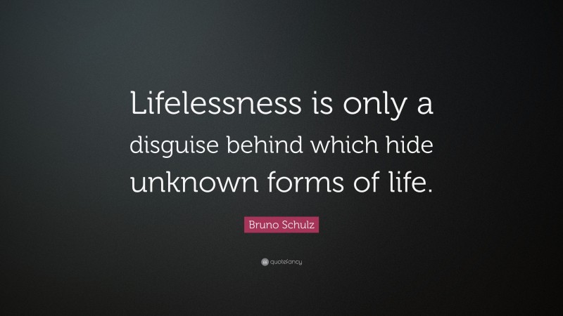 Bruno Schulz Quote: “Lifelessness is only a disguise behind which hide unknown forms of life.”