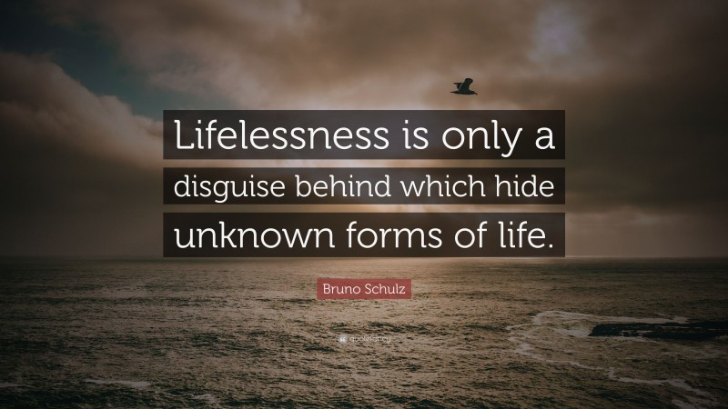 Bruno Schulz Quote: “Lifelessness is only a disguise behind which hide unknown forms of life.”