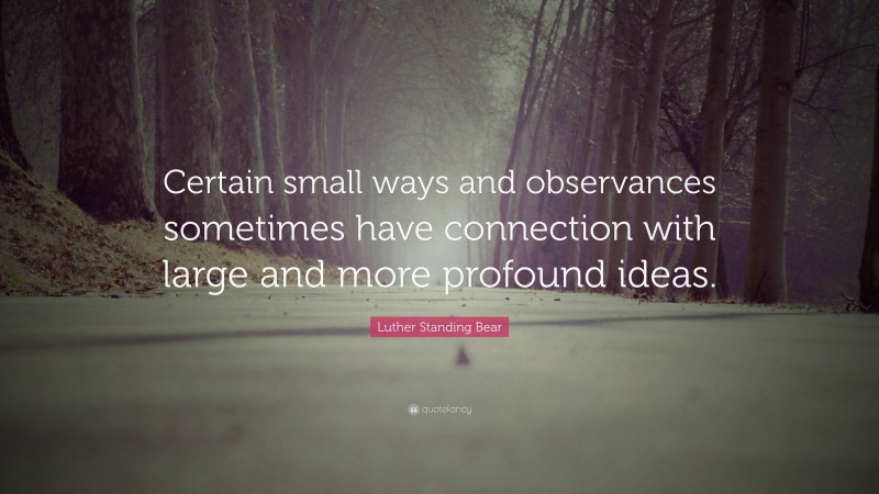 Luther Standing Bear Quote: “Certain small ways and observances sometimes have connection with large and more profound ideas.”
